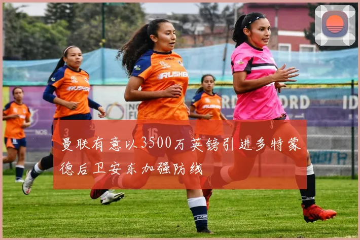 曼联有意以3500万英镑引进多特蒙德后卫安东加强防线