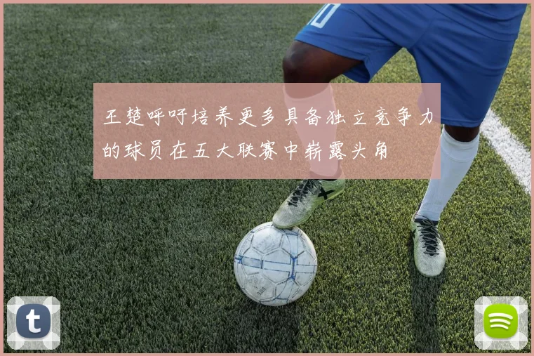 王楚呼吁培养更多具备独立竞争力的球员在五大联赛中崭露头角