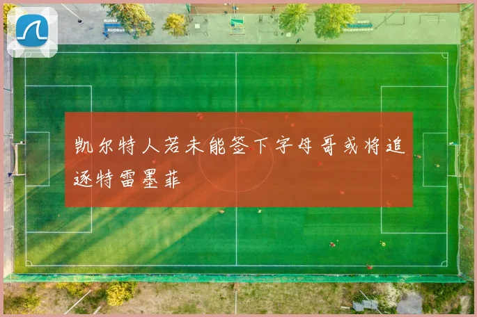 凯尔特人若未能签下字母哥或将追逐特雷墨菲
